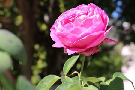 1678839324237082148.jpg 13.jpg